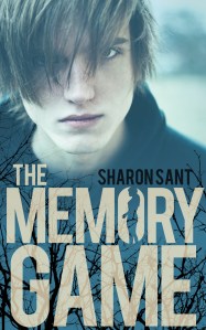 the-memory-game-sant-full size